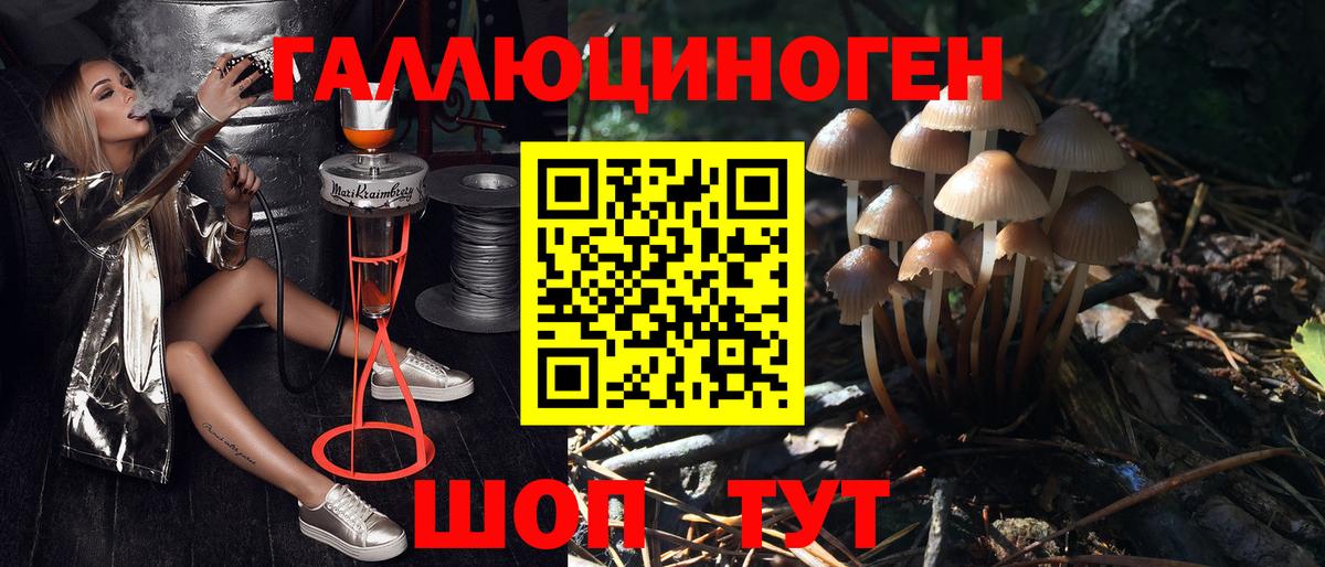 Псилоцибиновые грибы Psilocybine cubensis  Галлюциногенные грибы Psilocybine cubensis  Вход с VPN  Реж 